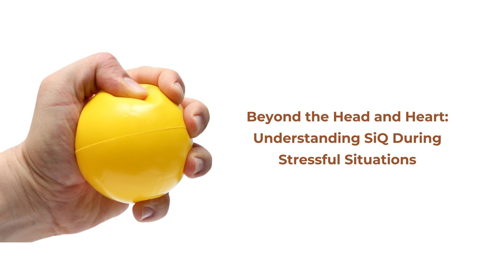 Read more about the article Beyond the Head and Heart: Understanding SiQ During Stressful Situations